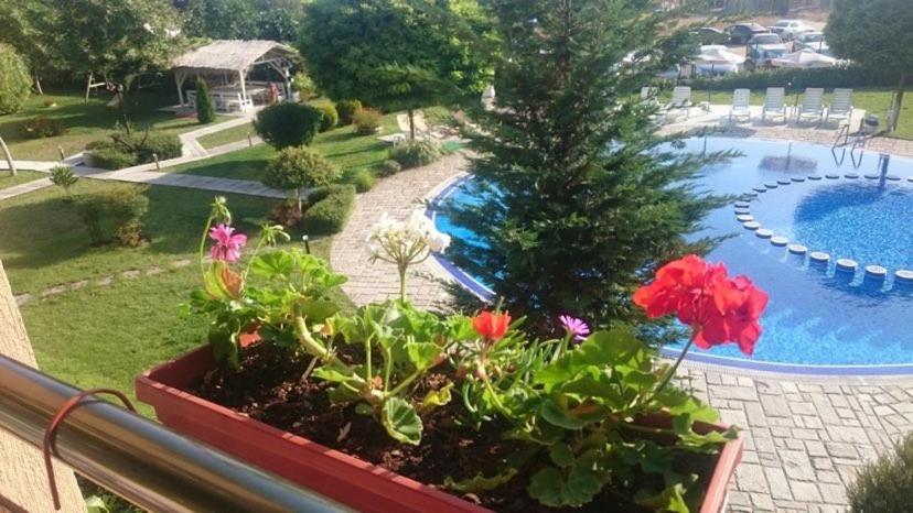 созополи хилс а4 Apartment Sozopol